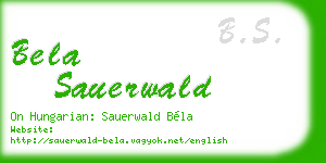 bela sauerwald business card